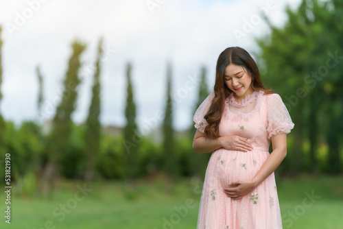 beautiful pregnant woman looking and stroking her belly in the park