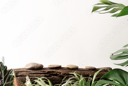 Stone product display podium on old log with nature leaves ornamental plant