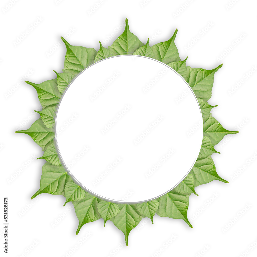 Illustration of leaves on a white background. Beautiful leaf design and copy space. natural pattern. An Circle white space in the center of the image. and tropical green leaves borde Illustration of leaves on a white background. Beautiful leaf design and copy space. natural pattern. An Circle white space in the center of the image. and tropical green leaves borde