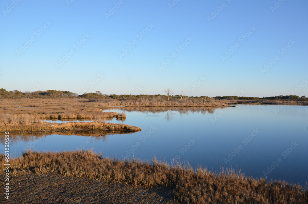 a lake or river with brown grasses and shore