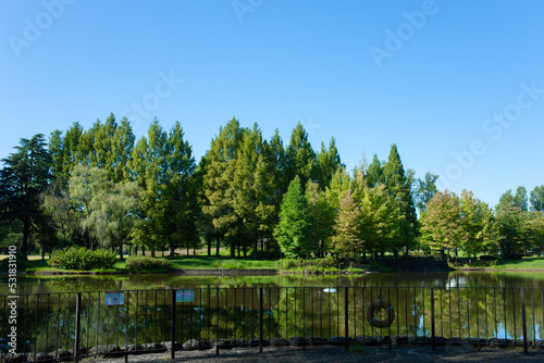 Park pond