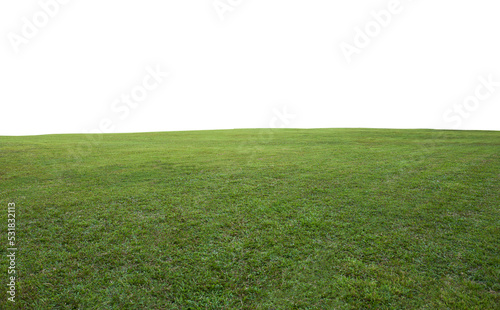Green grass field background © jamesteohart