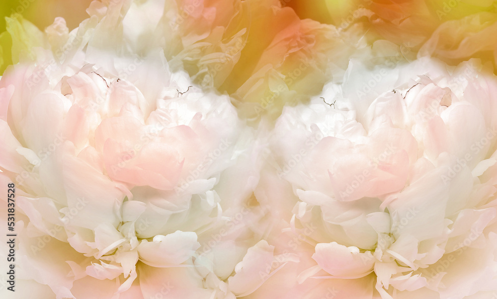 Floral yellow background. Flowers and peony petals. Flower composition. Nature. Floral yellow background. Flowers and peony petals. Flower composition. Nature.