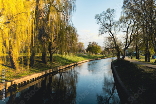 City park on sunny spring summer weather. Park with river reflections, trees and green grass. Landscaping Place for walking and outdoor recreation. Unity with nature. Nature background Poland, Pruszcz photo