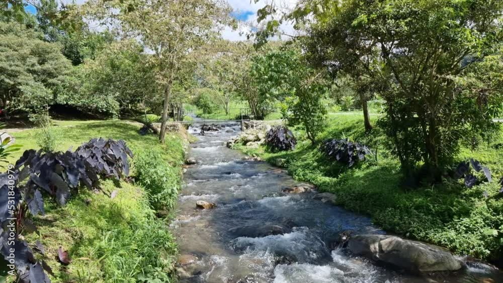 Panama, Boquete, small creek in central park through tropical vegetation Panama, Boquete, small creek in central park through tropical vegetation