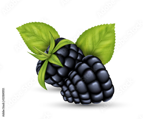 Juicy ripe blackberries with green leaves. Black berry for advertising, cooking, dessert