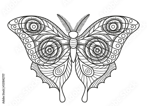 Vector coloring book page. Silhouette of elegant butterfly or moth in mandala style isolated on white background