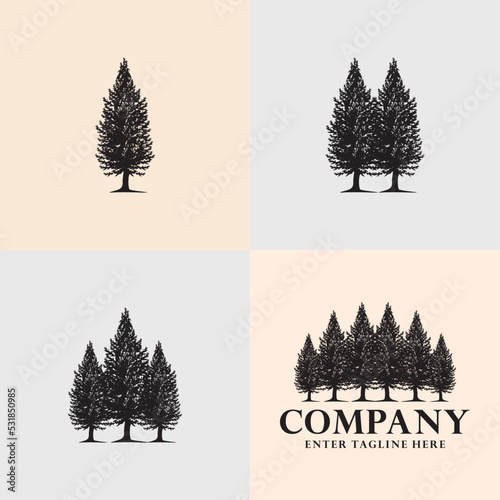 tree logo, tree design, tree vector, spruce emblem logo, spruce emblem design, fir emblem vector premium fir tree logo, emblem design with spruce, fir tree design, pine tree logo emblem