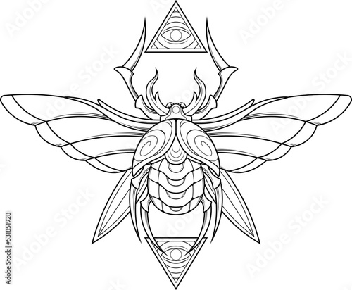 scarab beetle illustration with egyptian style drawing