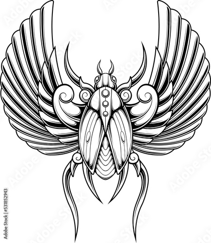 scarab beetle illustration with egyptian style drawing