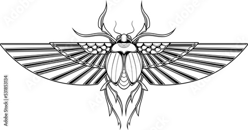 scarab beetle illustration with egyptian style drawing
