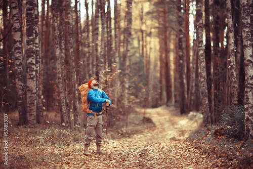 tourist in the autumn forest on a forest road, an adventure in the October forest, one man autumn landscape hiking