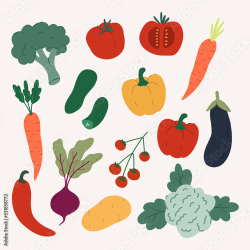 Hand draw set of vegetables. healthy ingredients collection.