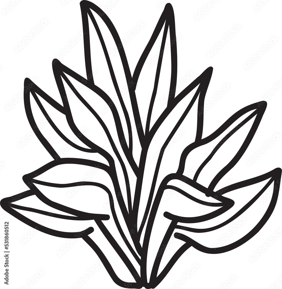 Hand Drawn cute indoor plant illustration Hand Drawn cute indoor plant illustration