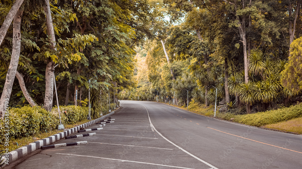 Road and forest in the park Ubonrat Dam, Khon Kaen Province, Thailand Road and forest in the park Ubonrat Dam, Khon Kaen Province, Thailand