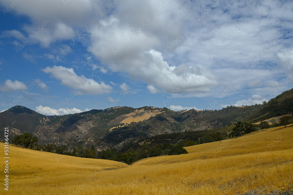 Figueroa Mountain, Los Padres National Forest