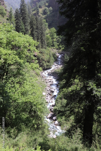 River inside the dense forest in himalaya