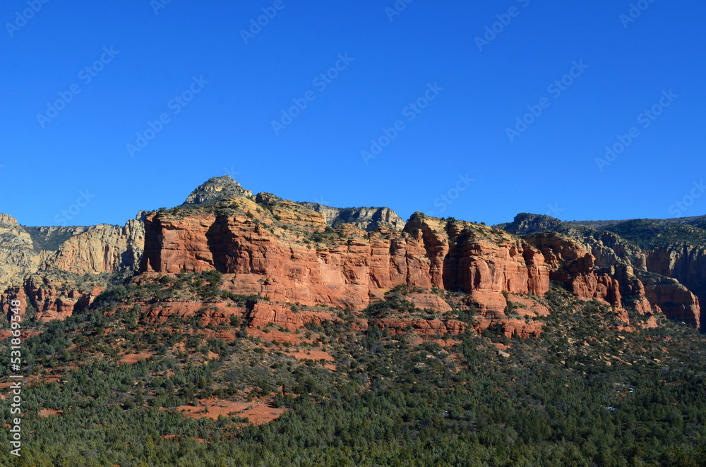 Evergreen Bushes and Trees in a Valley