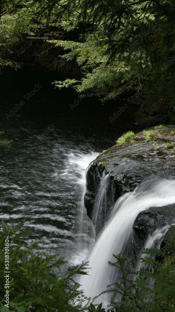Fototapeta premium waterfall in the forest