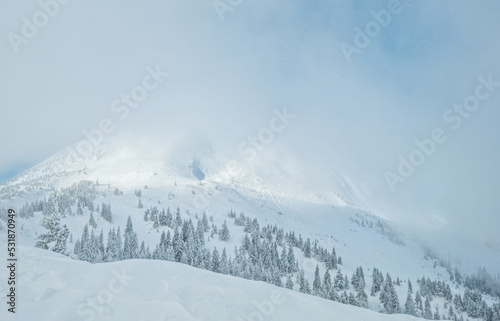 Beautiful sunny winter landscape in the mountains. Mountain and fir trees covered with snow. © volff