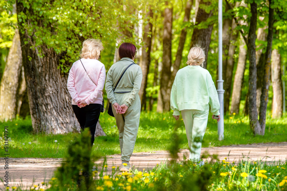Three girlfriends walk along a path in the Park
Three girlfriends walk along a path in the Park