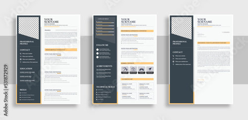Creative Resume and Cover Letter Layout Vector Template for Business Job Applications, Minimalist resume cv template