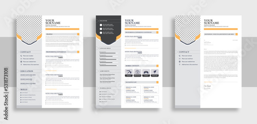 Clean Modern Resume and Cover Letter Layout Vector Template for Business Job Applications, Minimalist resume cv template
