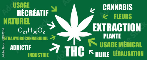 nuage de mots THC