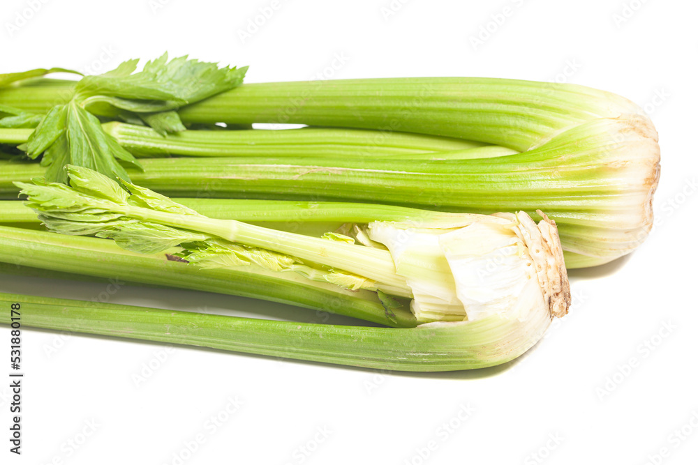 Fresh celery isolated on white background Fresh celery isolated on white background
