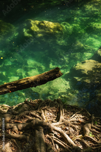 Beautiful Deep Green River Bed in Sillans-la-Cascade, France © PaulPetyt
