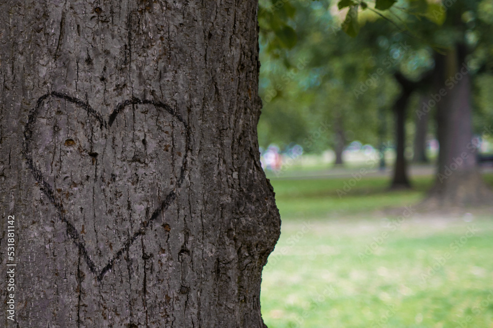 Fototapeta premium Albero segnato con cuore