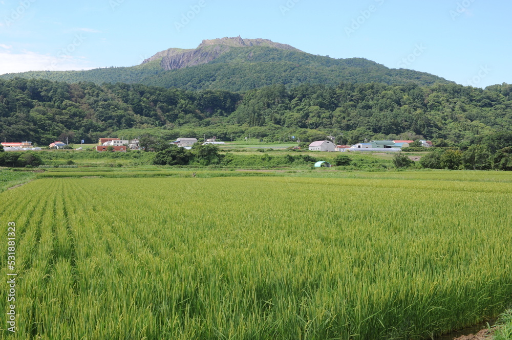 Green rural landscape with rice fields and Usu volcano on a sunny day with blue sky in Hokkaido island, northern Japan, Asia