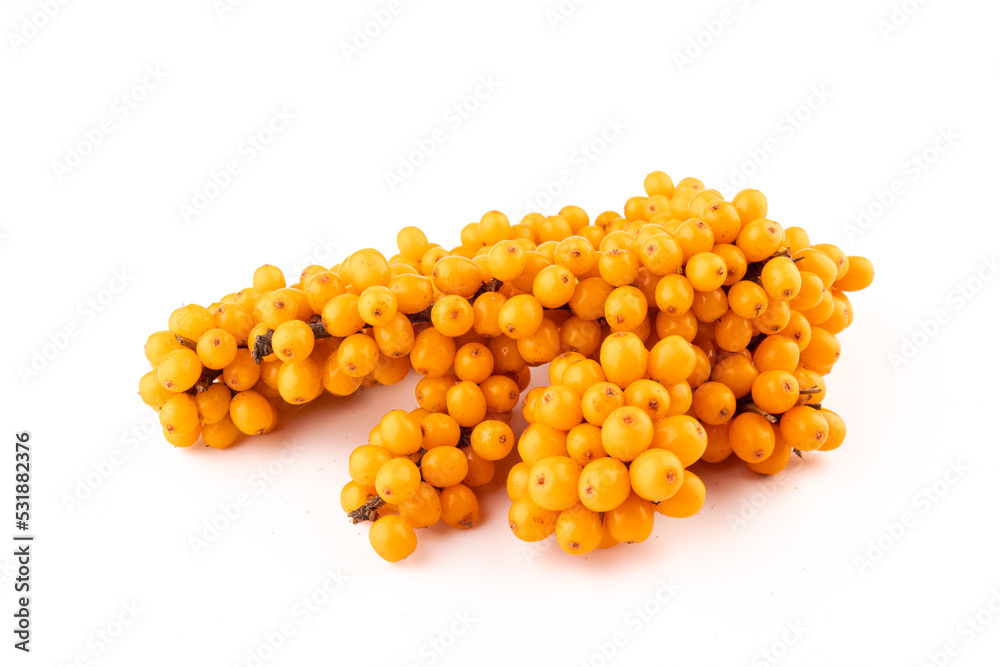 Sea-buckthorn berries branch on a white background Sea-buckthorn berries branch on a white background
