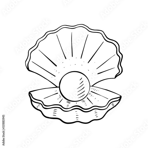 Seashell with pearl, on a white background. Linear drawing.