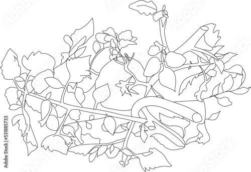 Vegetable garden top view illustration of a tomato plant. 
