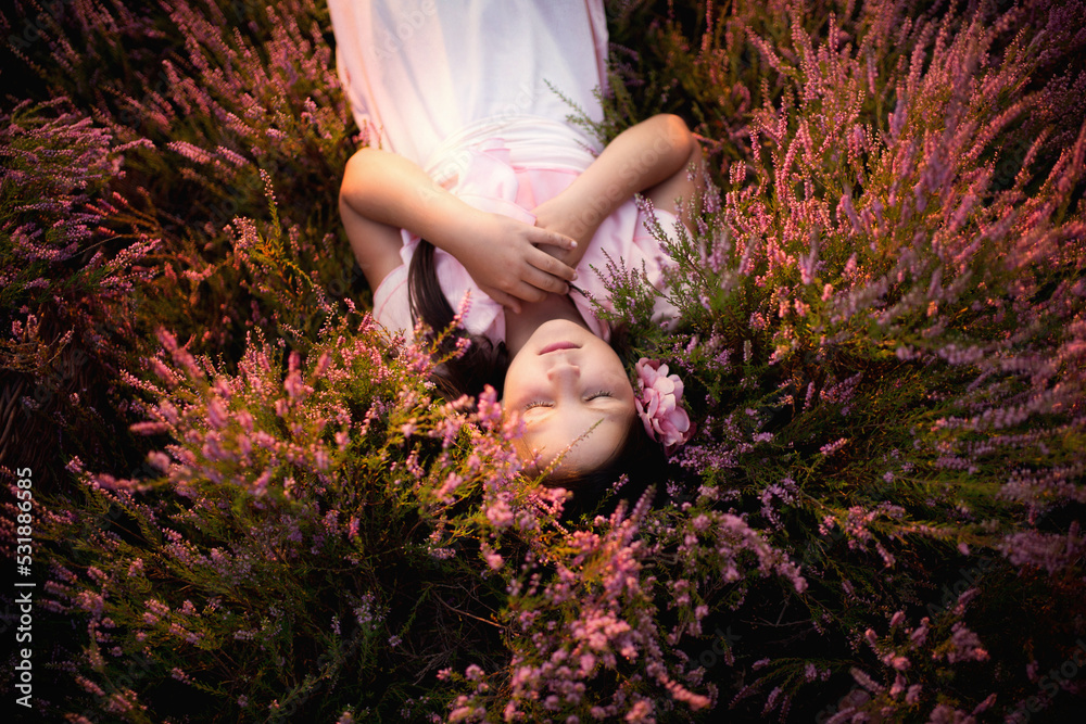 Dziewczynka leży na polanie pełnej różowych wrzosów - obrazy, fototapety, plakaty 