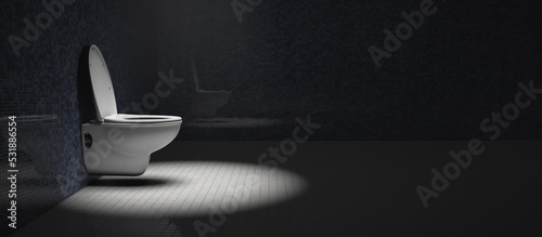 Ceramic toilet bowl in a dimly lit room. Conditions and comfort of life