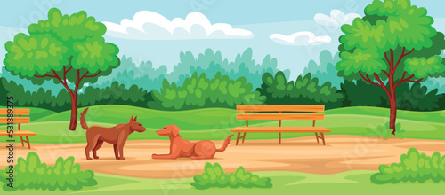 Fototapeta Naklejka Na Ścianę i Meble -  Beautiful park landscape. Dogs or puppies walk in park with benches, green trees and plants. Nature and environment. Animals play outdoor. Background for printing. Cartoon flat vector illustration