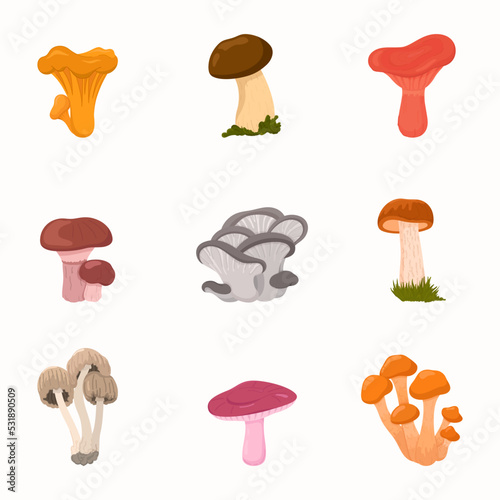 Raster mushroom illustration. Useful mushrooms. Icons chanterelle, russule, stubby-stalk, oyster.