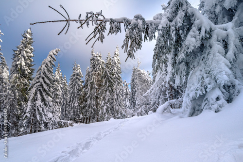 Cold winter and beautiful snow. Buried roads in Podhale, near the Tatra Mountains, Poland.

Mroźna zima i piękny śnieg. Zasypane drogi na podhalu, pod Tatrami, Polska. 