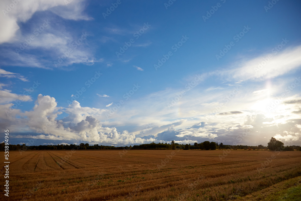 View on the agricultural field and beautiful sky covered with white clouds