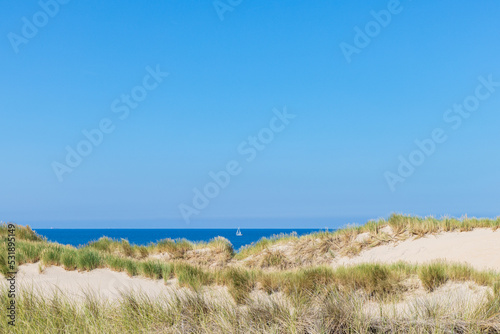 Scenic of dunes along the Dutch coast of North Holland between Schoorl and Petten in The Netherlands © HildaWeges