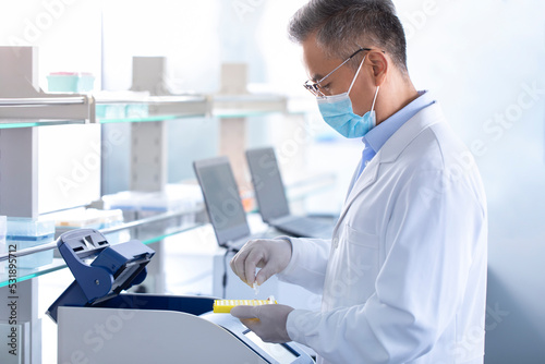 Wallpaper Mural Scientist examining medical samples in laboratory Torontodigital.ca