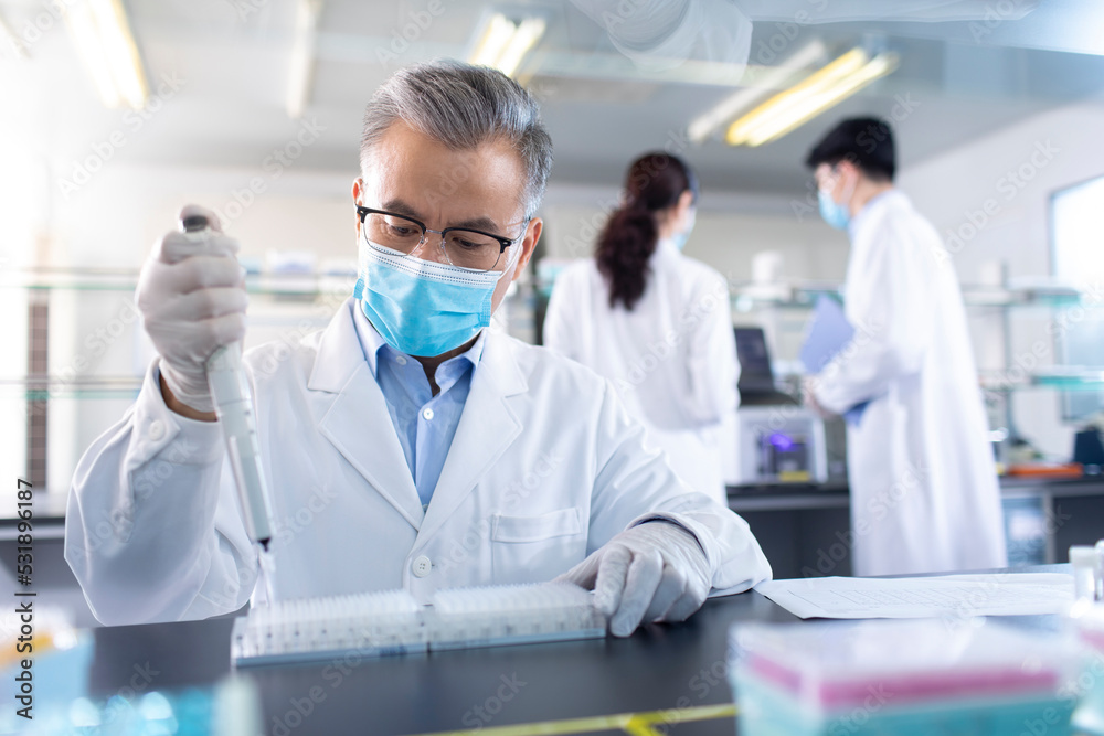 Three researchers working in laboratory Three researchers working in laboratory