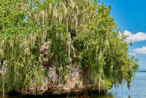 Samaná República Dominicana Aitises