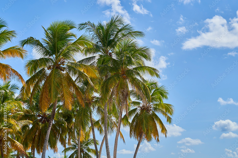 Samaná República Dominicana Aitises Samaná República Dominicana Aitises