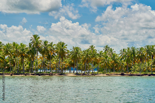Samaná República Dominicana Aitises