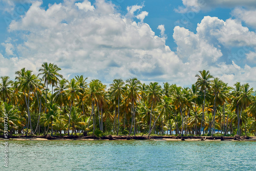 Samaná República Dominicana Aitises