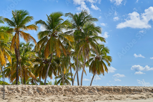 Samaná República Dominicana Aitises
