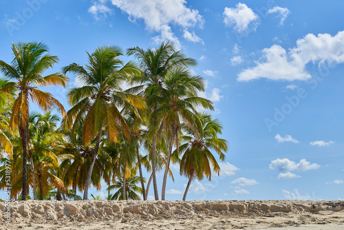 Samaná República Dominicana Aitises